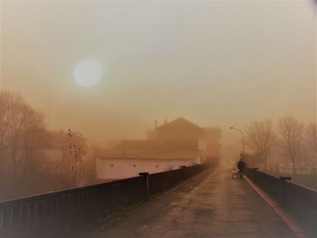 Paseando en la niebla.