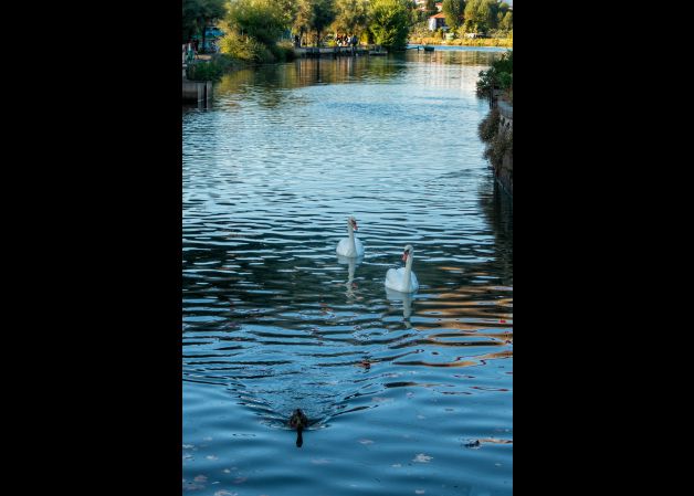De paseo por el Bidasoa