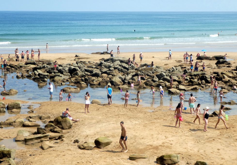 ¡A por quisquillas!