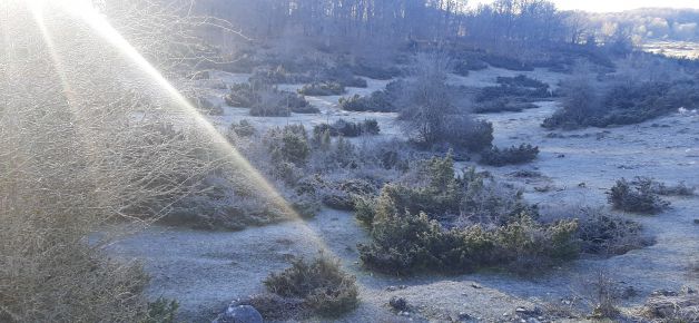 Primeros rayos de sol en el invierno de la sierra de Entzia.
