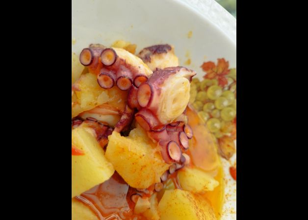 Pulpo de verano