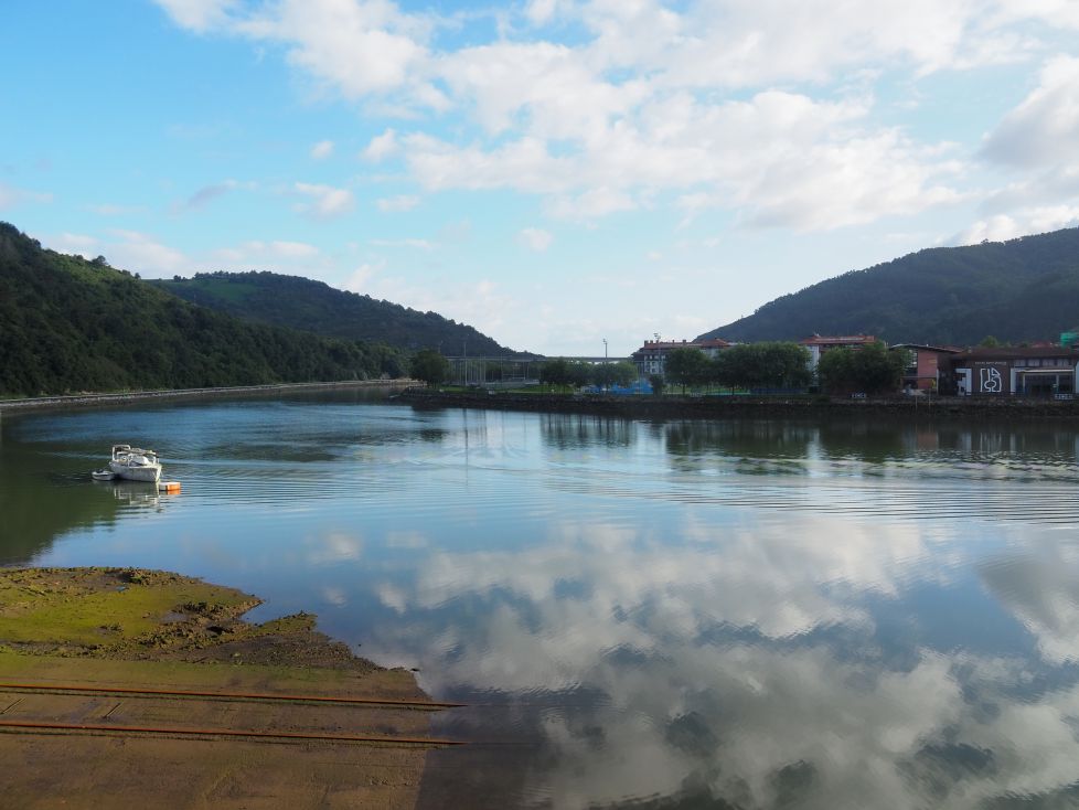 El rio entre algodones