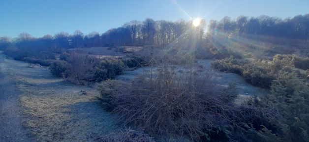 Salga el Sol por donde pueda.