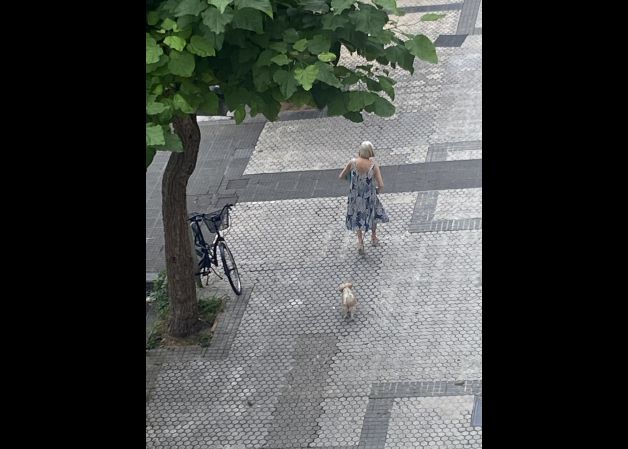 Señora con perro y bicicleta