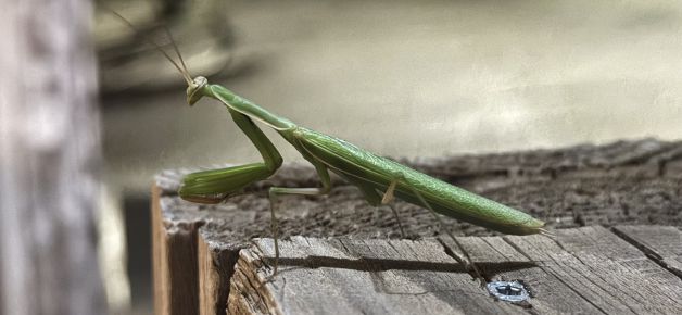 Yo también estoy de vacaciones