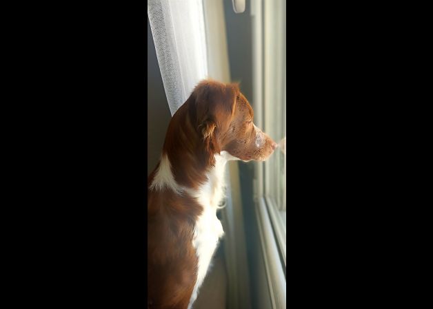 Viendo la vida pasar