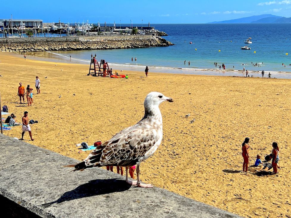 El vigilante de la playa de Getaria 