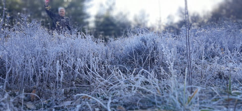 Apetece comerse un helado entre la hierba.