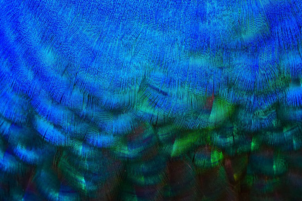 La Arquitectura del Color