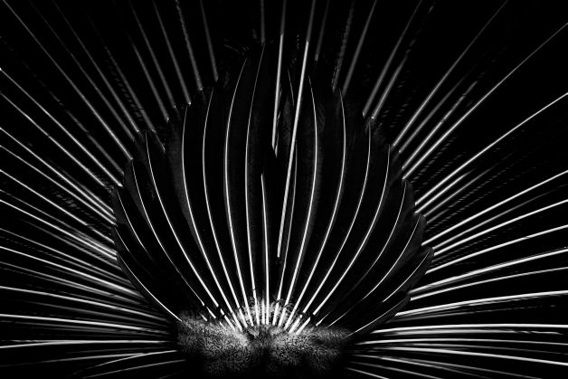 ARQUITECTURA DE NATURALEZA