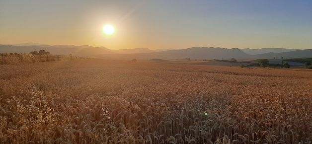 atardecer en treviño