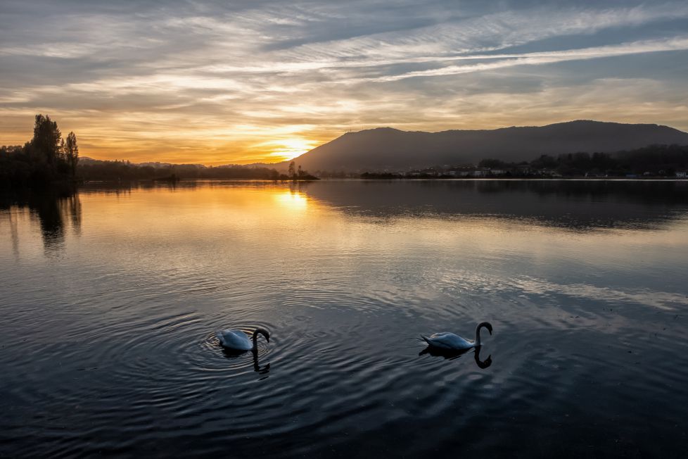 Atardecer en Txingudi