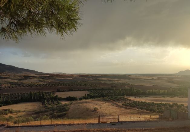 Balcón de la Mancha y Puerta de Andalucía.(Villapalacios-Albacete)