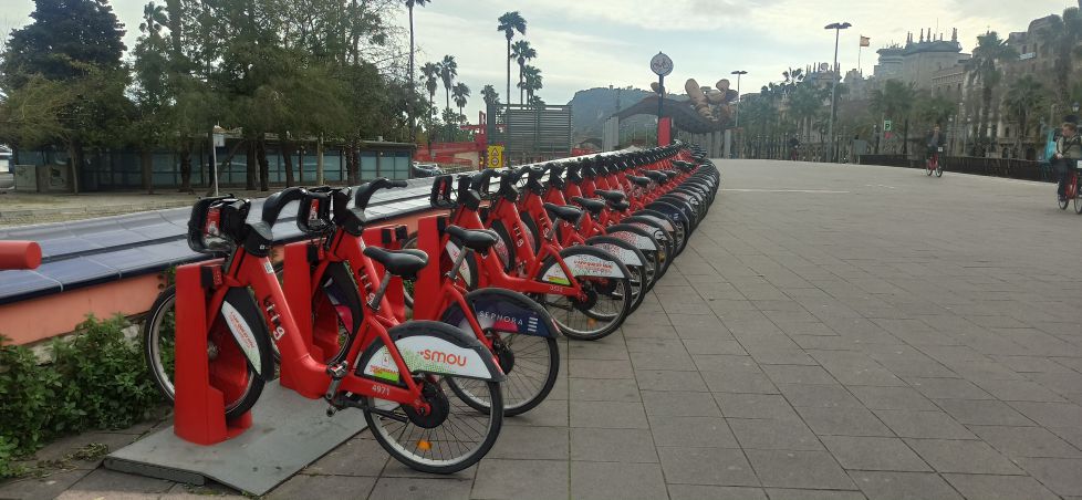 Bicicletas en formación