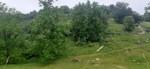 Calma y quietud en la montaña.