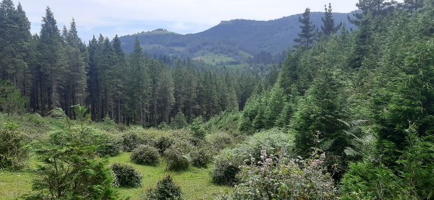 No es Canadá, es Euskadi.