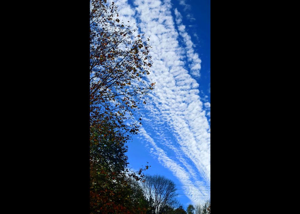 El cielo esta enladrillado...