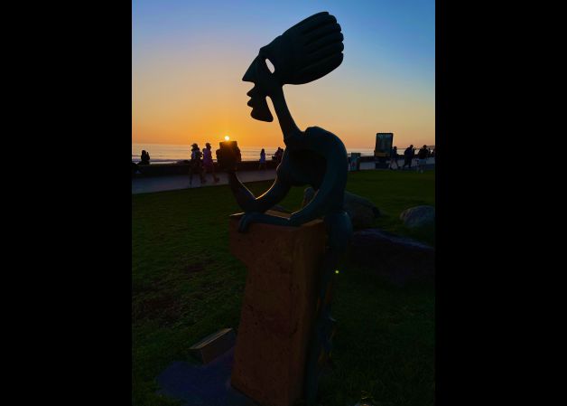 COPA DE LOS ULTIMOS RAYOS DE SOL