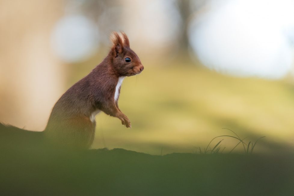 Entre Sombras y Brumas