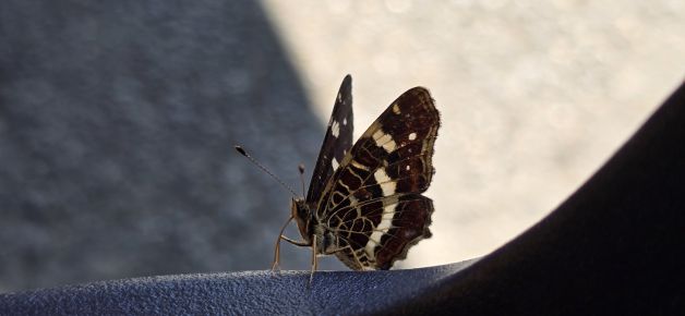 Eserlekuan nere ondoan