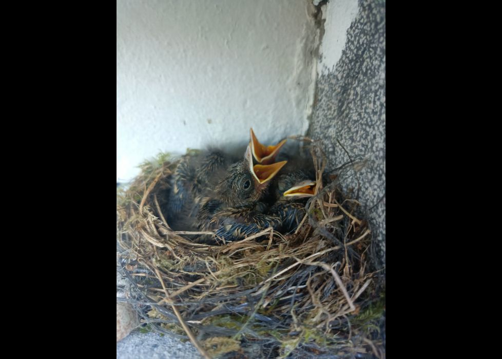 Esperando a la amatxo