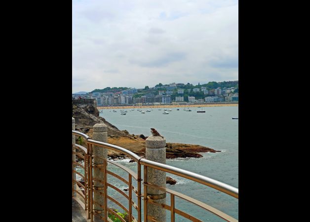 El gorrion tranquilo!!