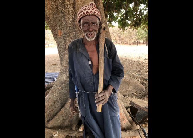 Labrador en Marruecos