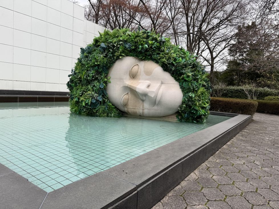 Lagrimas en el rostro