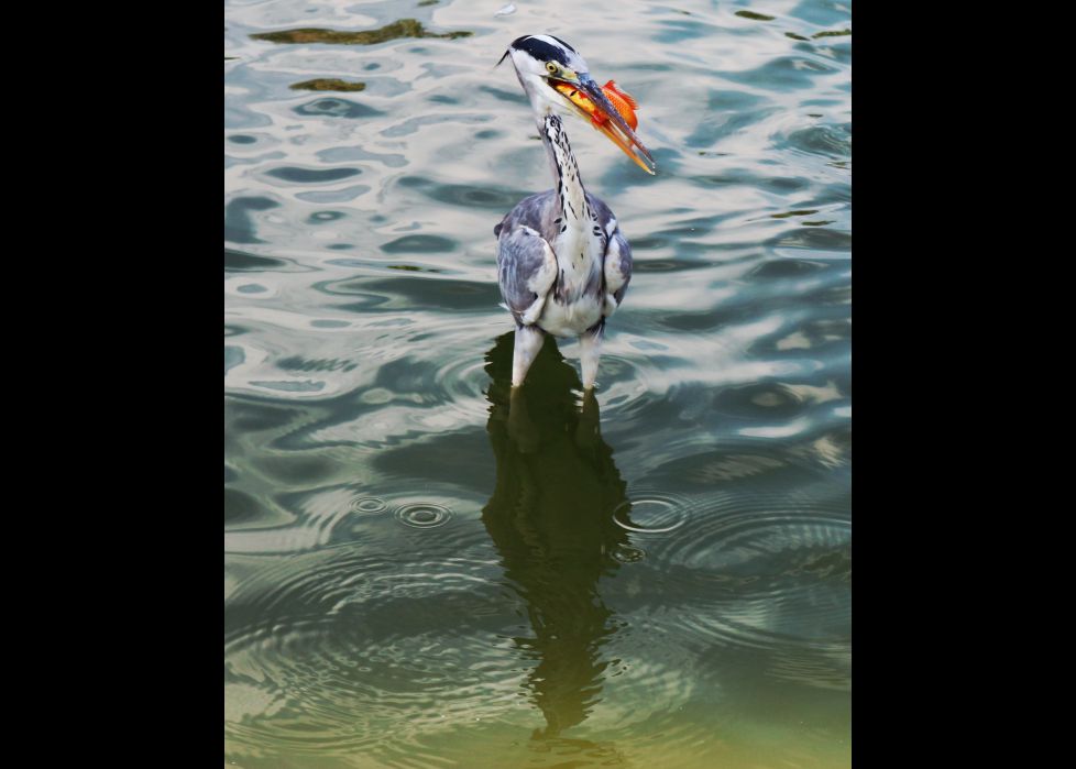 Naturaleza en estado puro