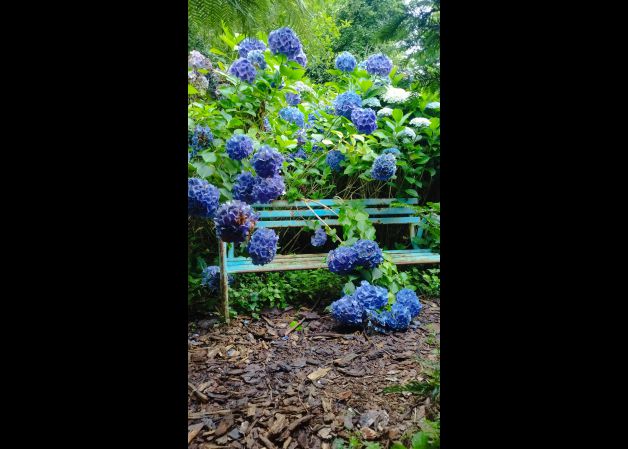 Paisajes de postal.........que son reales