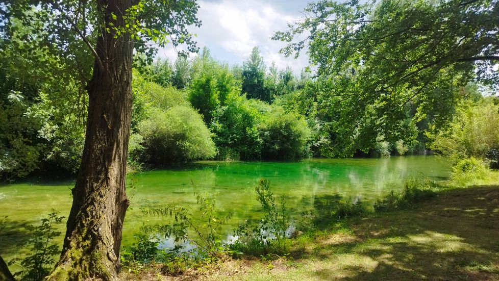 Paraiso cerca de casa (zudaire)