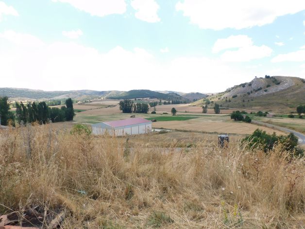 Páramo en el geoparque.