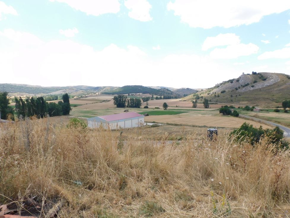Páramo en el geoparque.