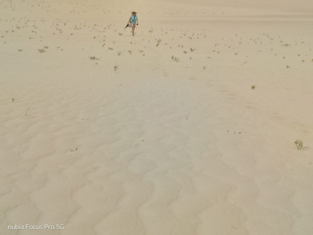 PERDIDA EN LAS DUNAS