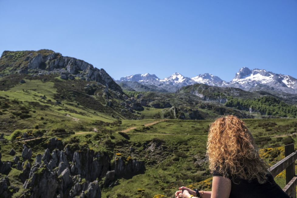 Picos de Europa