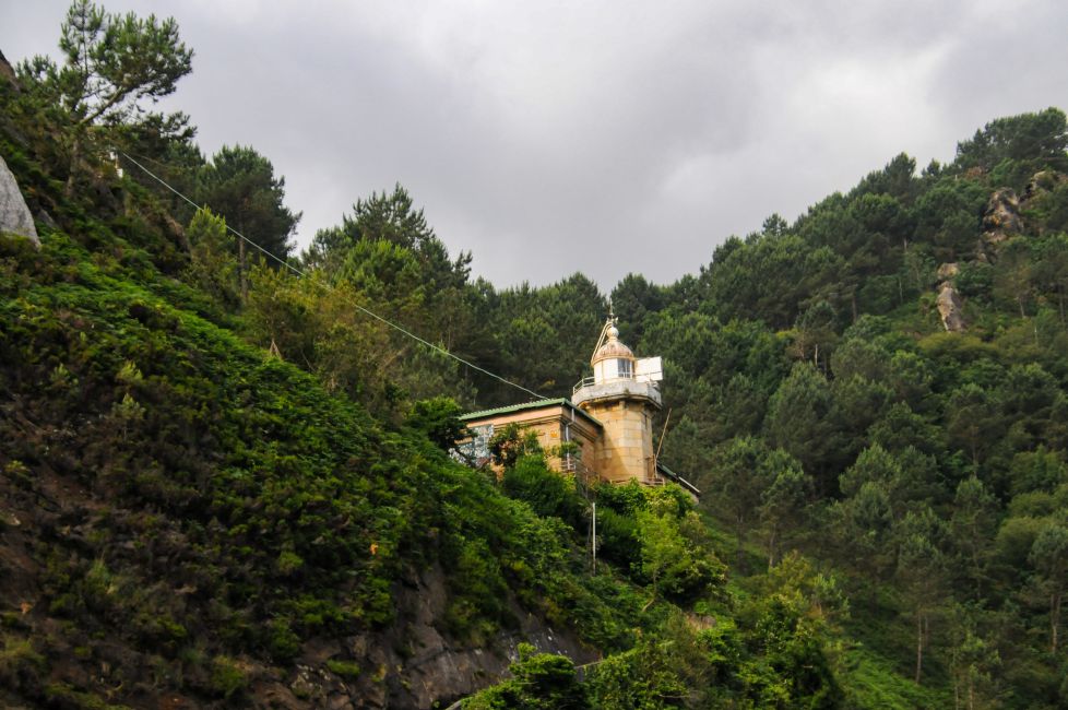 La protección entre la frondosidad
