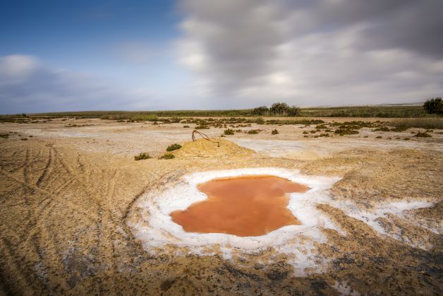 Salinas de Punta Entinas