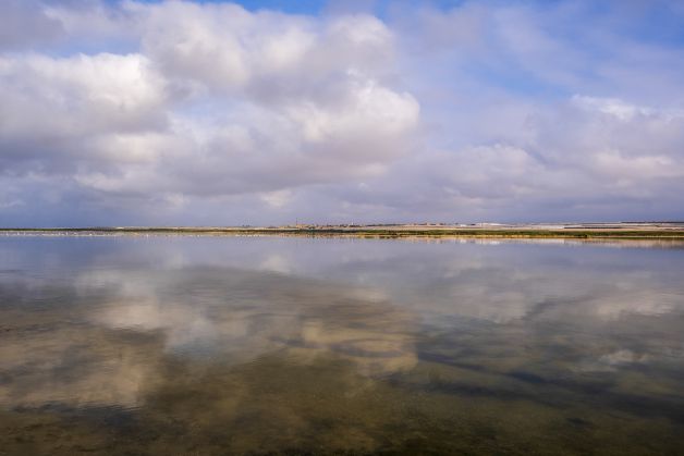 Salinas de Punta Entinas Sabinar