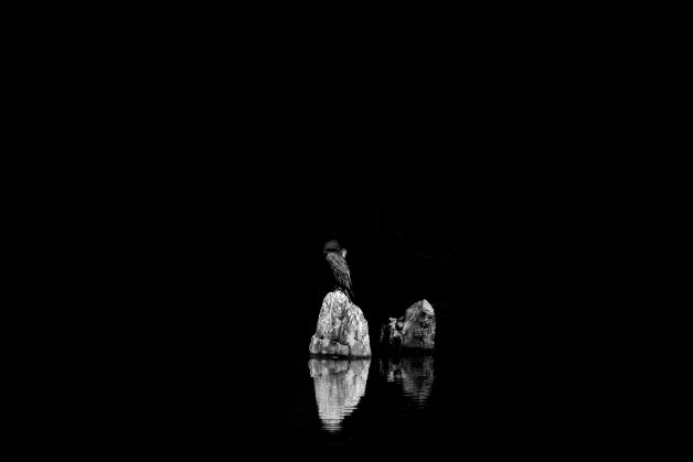 Silencio en la Oscuridad