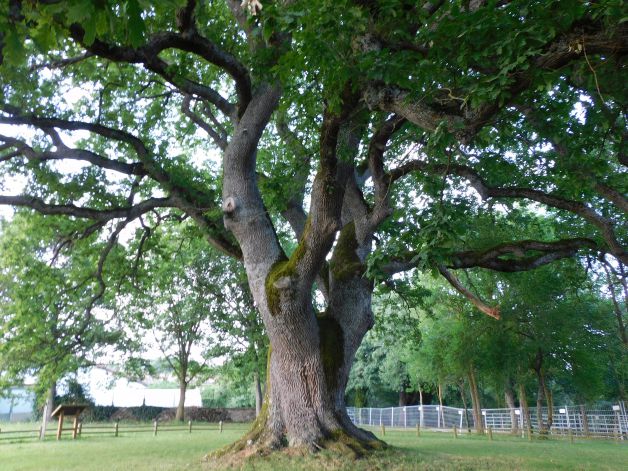 A veces la vejez sienta muy bien.