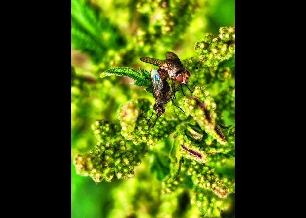 la vida se habré camino 