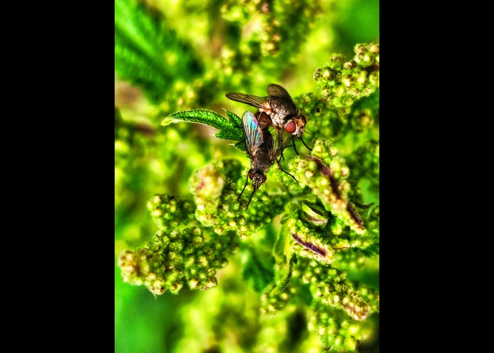 la vida se habré camino 