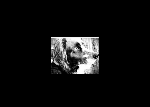 \"Yuki\" edo \"Yuuki\"