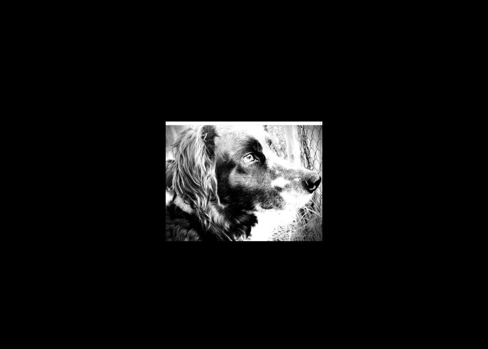 \"Yuki\" edo \"Yuuki\"