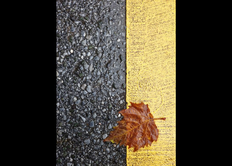 abiso horia!! Uda amaitzen ari da