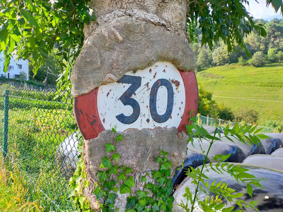 Abrazo de la naturaleza