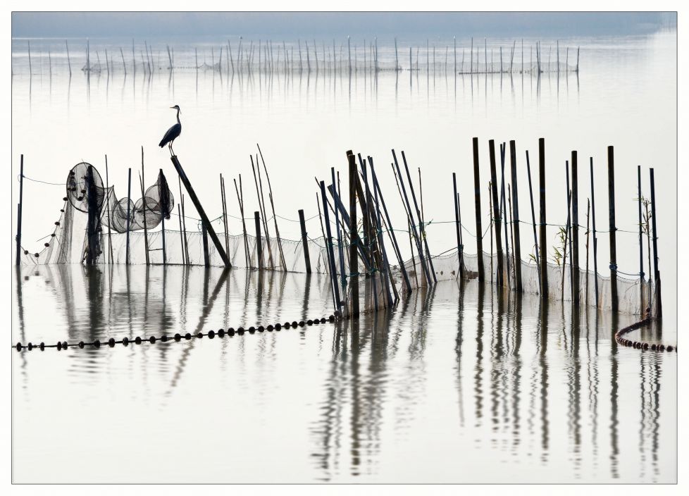 ALBUFERA