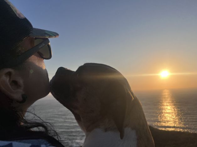 Un amor en el atardecer