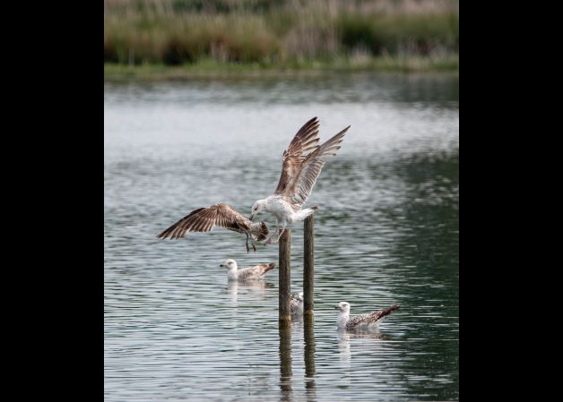 Apartamentos en oferta
