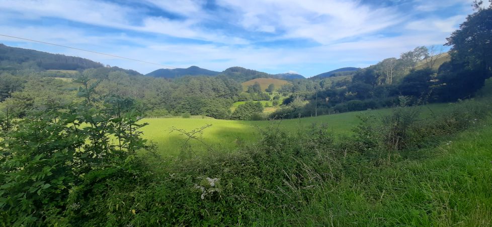 Aquí a veces hay un lago.